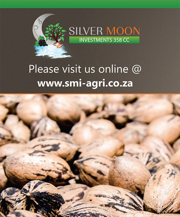 FT-PUBLICATIONS: Trifold Brochure Silvermoon
